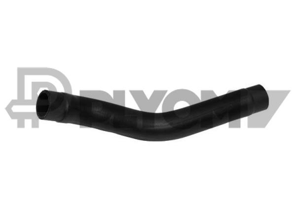PLYOM P753105