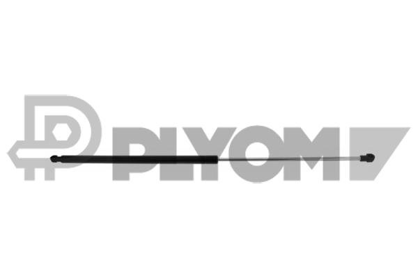PLYOM P772953
