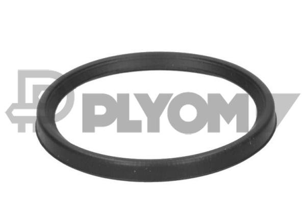 PLYOM P773502