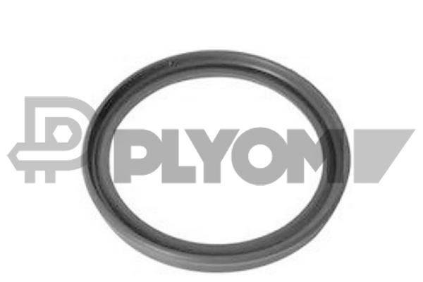 PLYOM P773504