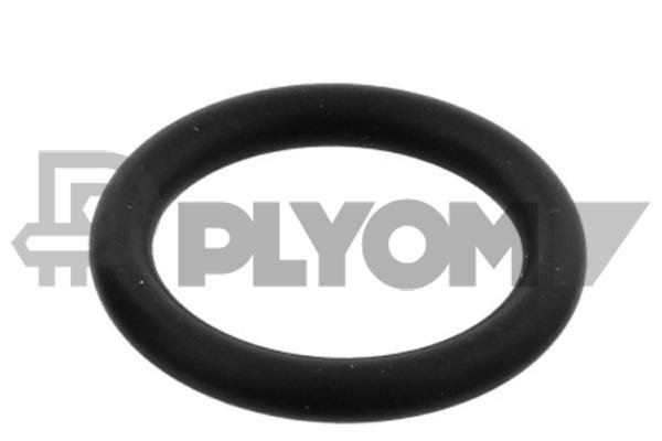 PLYOM P955245