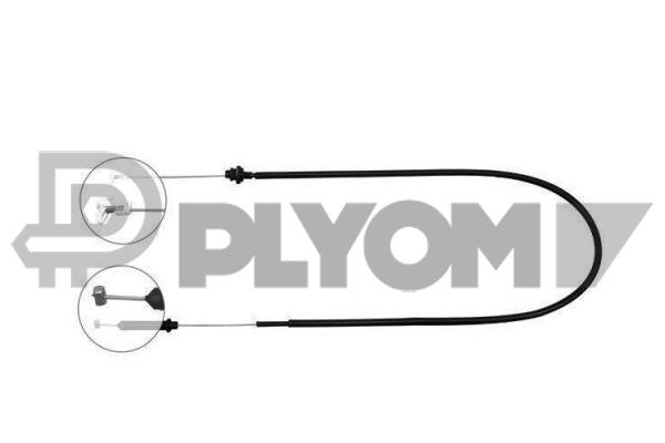 PLYOM P028334