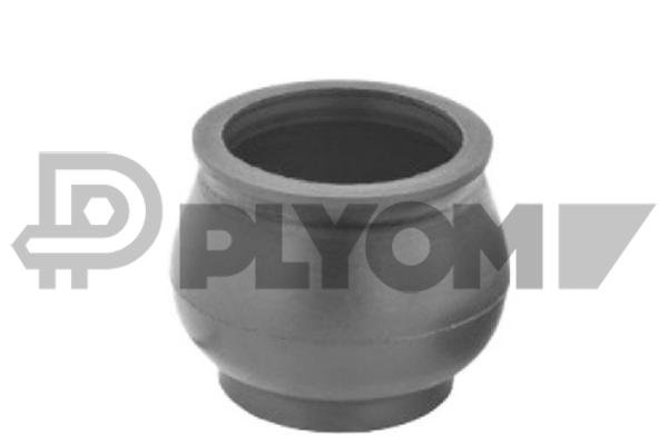 PLYOM P755709