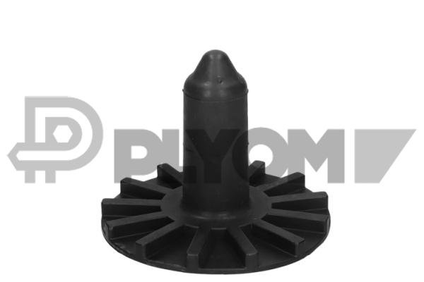 PLYOM P021309
