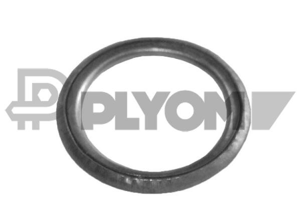 PLYOM P952023