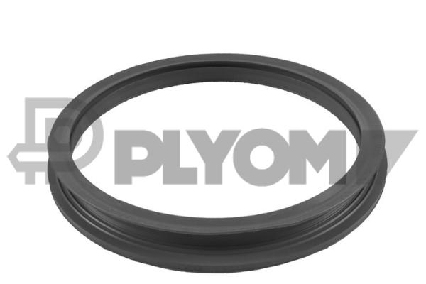 PLYOM P769987