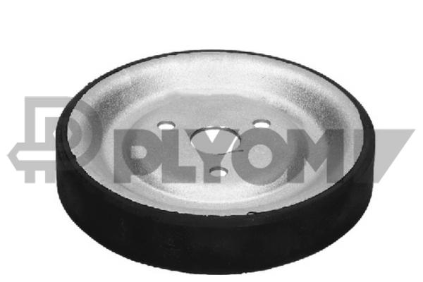 PLYOM P771581