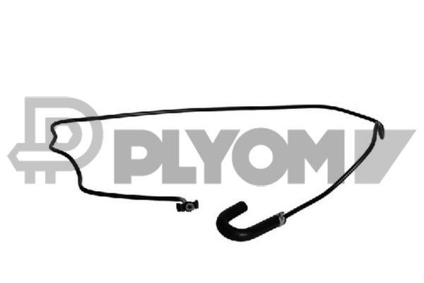 PLYOM P773582