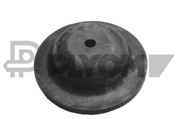 PLYOM P771573