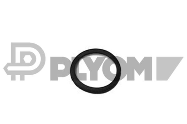 PLYOM P952042