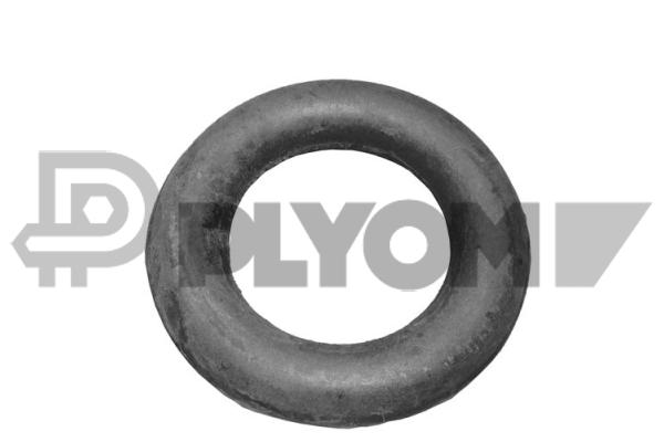 PLYOM P020084 PLYOM P020084