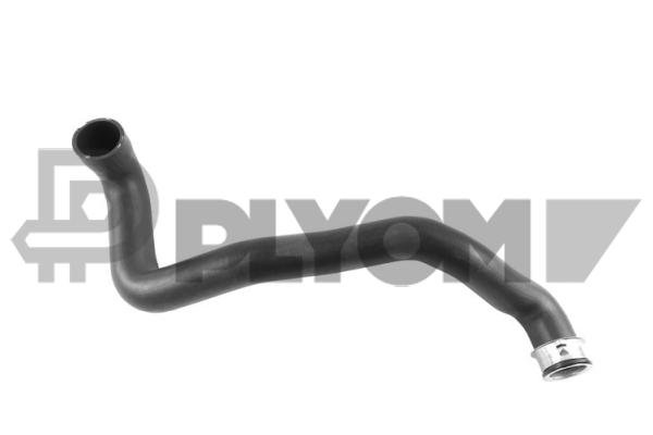 PLYOM P765419 PLYOM P765419