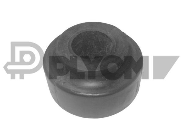 PLYOM P180929