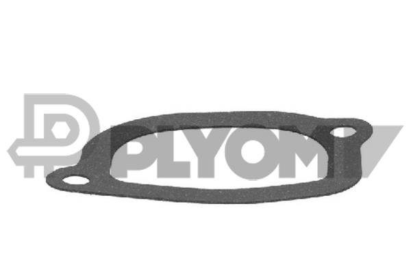 PLYOM P767984