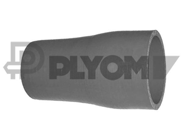 PLYOM P766965