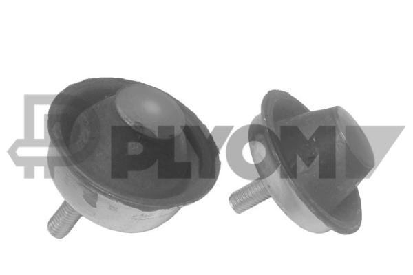 PLYOM P031113