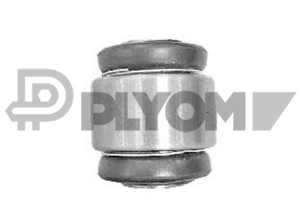 PLYOM P771195