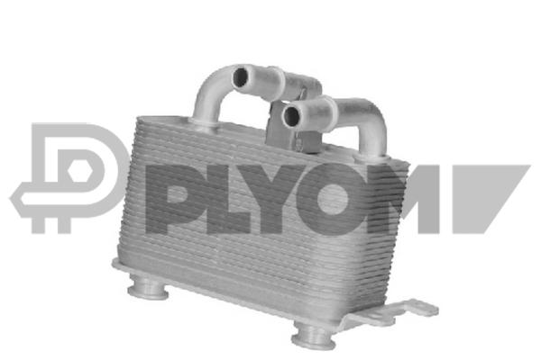 PLYOM P751731