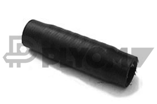 PLYOM P018446 PLYOM P018446