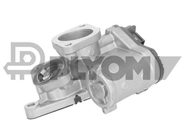 PLYOM P960024