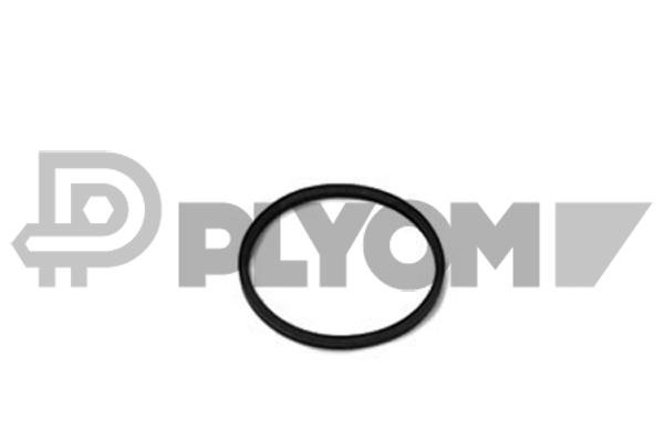 PLYOM P952038