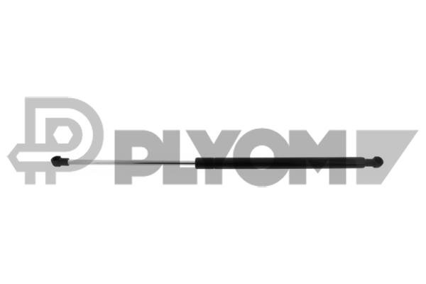 PLYOM P772878