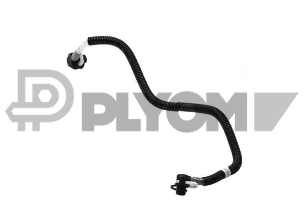 PLYOM P771338