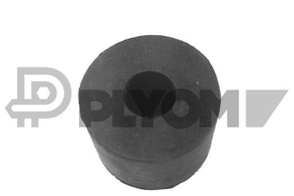PLYOM P120035