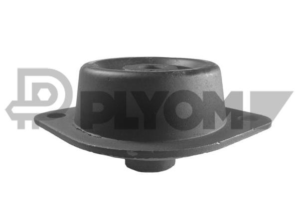 PLYOM P010871