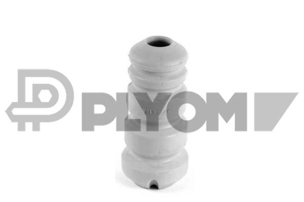 PLYOM P750228