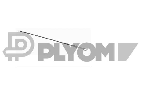 PLYOM P776121