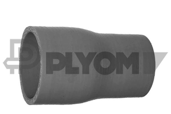 PLYOM P766980