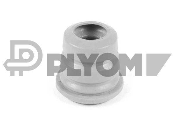 PLYOM P750616