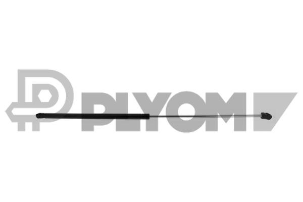 PLYOM P773065