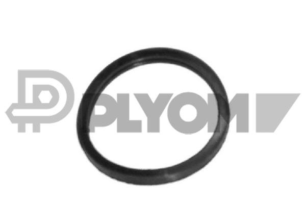 PLYOM P952039
