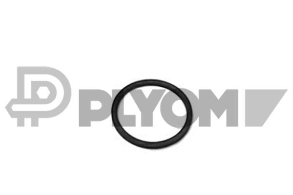 PLYOM P952043