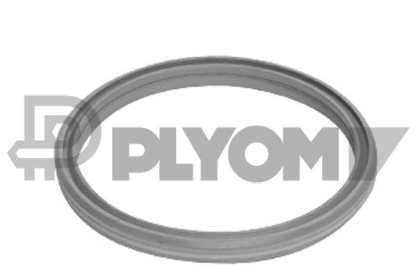 PLYOM P751989