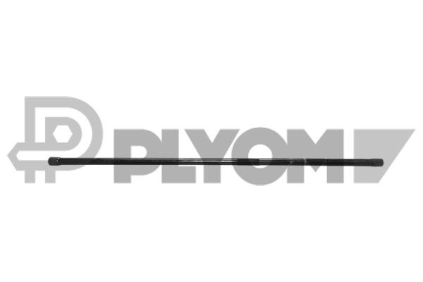 PLYOM P031666 PLYOM P031666