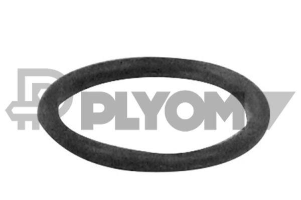 PLYOM P751984