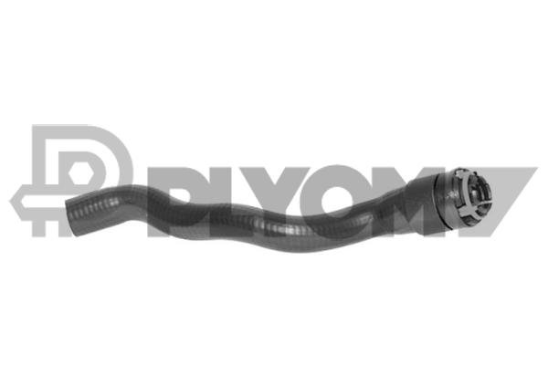 PLYOM P481117 PLYOM P481117