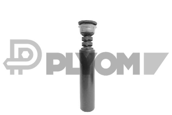 PLYOM P773605