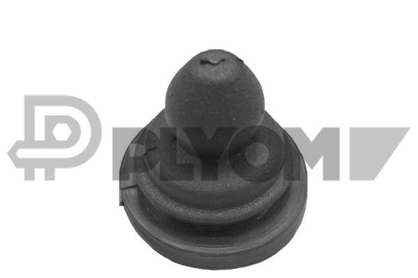PLYOM P755688