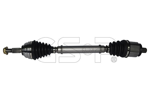 GSP-BR 250255
