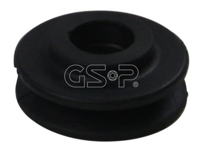 GSP-BR 517566