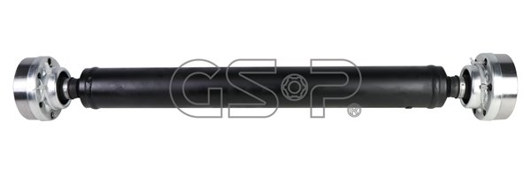 GSP-BR 202100