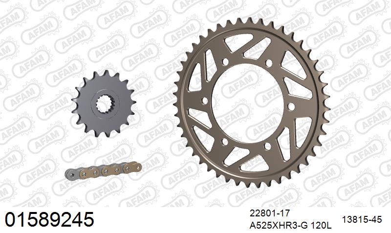 AFAM 01589245