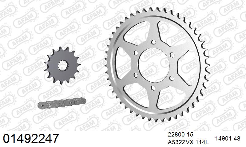 AFAM 01492247