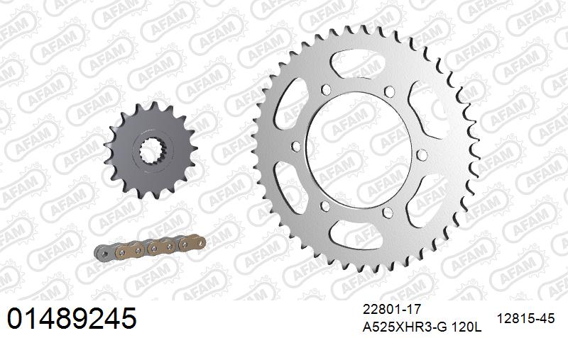 AFAM 01489245