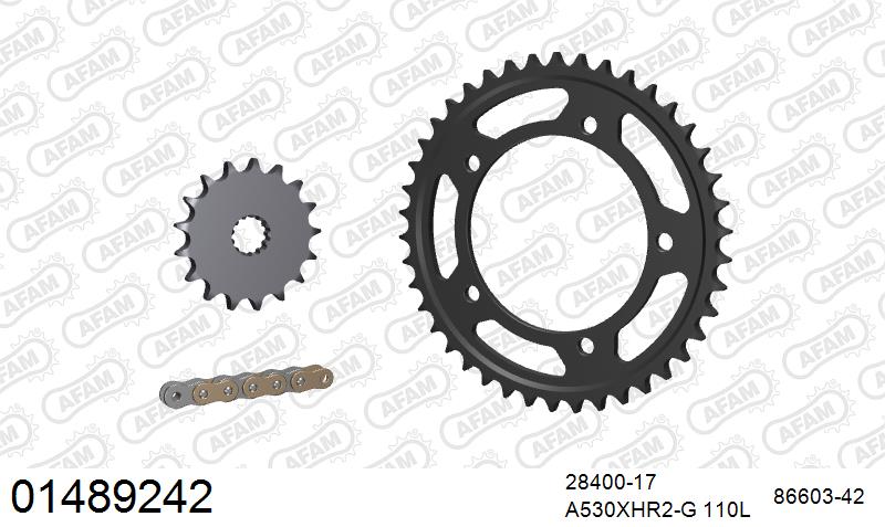 AFAM 01489242