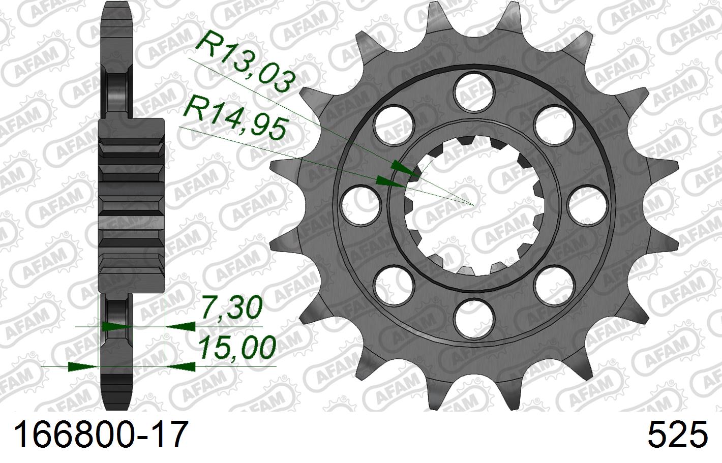 AFAM 166800-17 AFAM 166800-17